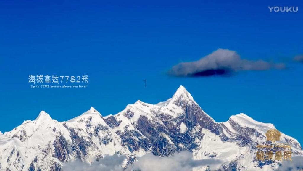 集装箱货运船