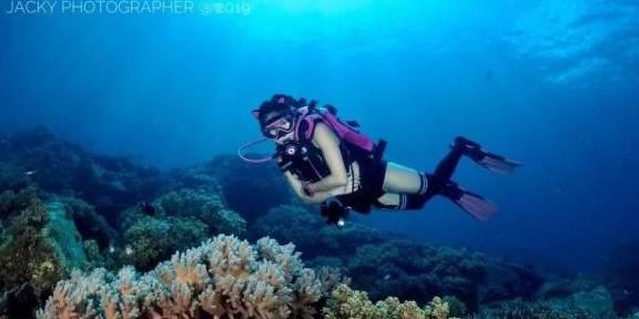 (走进中国乡村)从“菜园子”到“菜盘子” 宁夏贺兰凭实力炒香预制菜